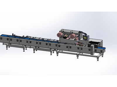 İnline Beslemeli Paketleme Makinası - 1