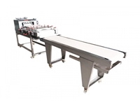 Hamur İşleme Taşıma Bandı 545x3000 mm