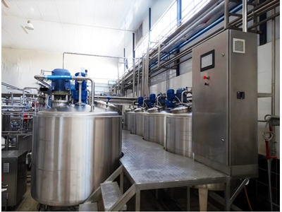 Cream Labneh and Curd Cheese Production Boiler - 7