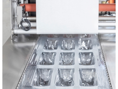 Otomatik Vakumlu Termoform Ambalaj Makinesi - 1