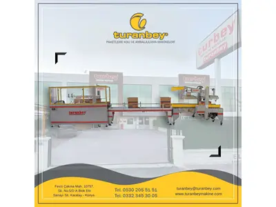 Fully Automatic Box Packing and Box Top Sealing Machine