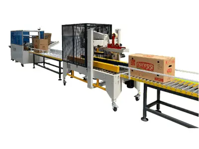Fully Automatic Box Packing and Box Top Sealing Machine