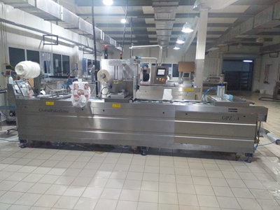 Thermoform Cheese Packaging Machine - 6