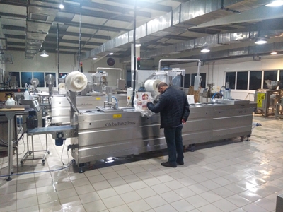 Thermoform Cheese Packaging Machine - 8