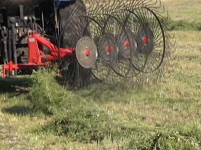 3'Lü Ot Toplama Tırmığı - 3