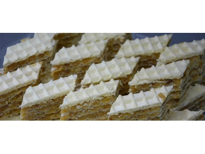 PMGHM 03 Gofret Hamur Mikseri  - 1