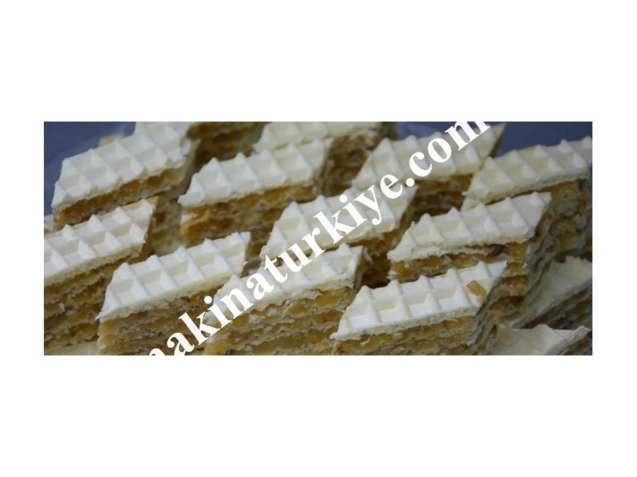 PMGHM 03 Gofret Hamur Mikseri 