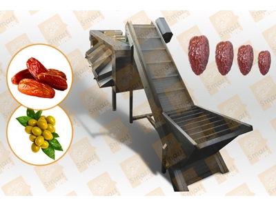 Hurma Zeytin Boylama Makinesi