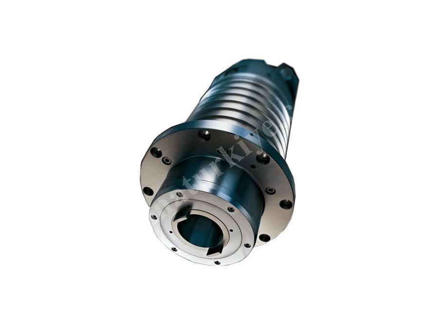 Mermer-Ağır Metal Tipi Spindle Motor