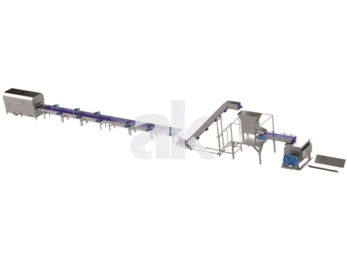 300-600 Kg/H Fruit Processing Production Line