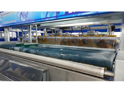 Elektrostatik Boyalı Tam Otomatik Halı Yıkama Makinası - 13