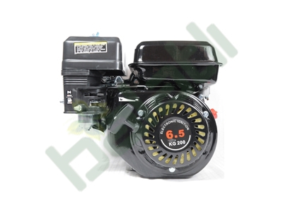 Balatlı 6.5 Hp 4 Zamanlı Motor YP-TM-GR8001