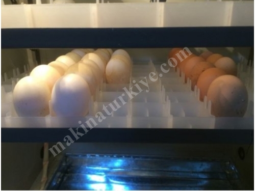 3168 Yumurta Kapasiteli Kuluçka Makinesi
