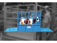 Livestock Scale with a Capacity of 1000 Kg - 2