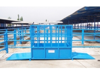 Livestock Scale with a Capacity of 1000 Kg - 0