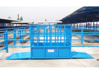 Livestock Scale with a Capacity of 1000 Kg