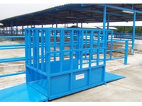 Livestock Scale with a Capacity of 1000 Kg - 1