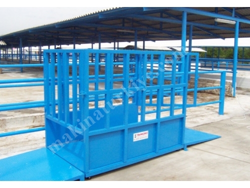 Livestock Scale with a Capacity of 1000 Kg