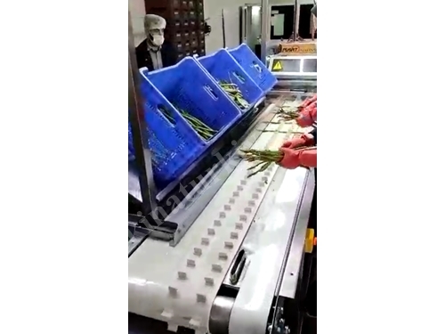 P-KK001 Asparagus Root Cutting Machine