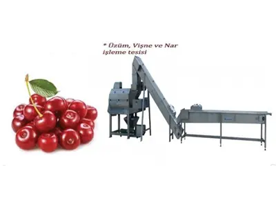 Cherry Grape Pomegranate Juice Production Line