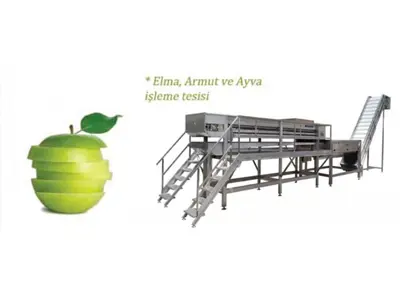 Apple, Pear, Quince Juice Production Line
