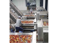 Apple, Pear, Quince Juice Production Line - 4