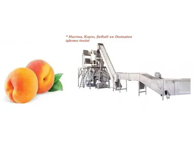 Apricot Peach Tomato Date Juice Production Line