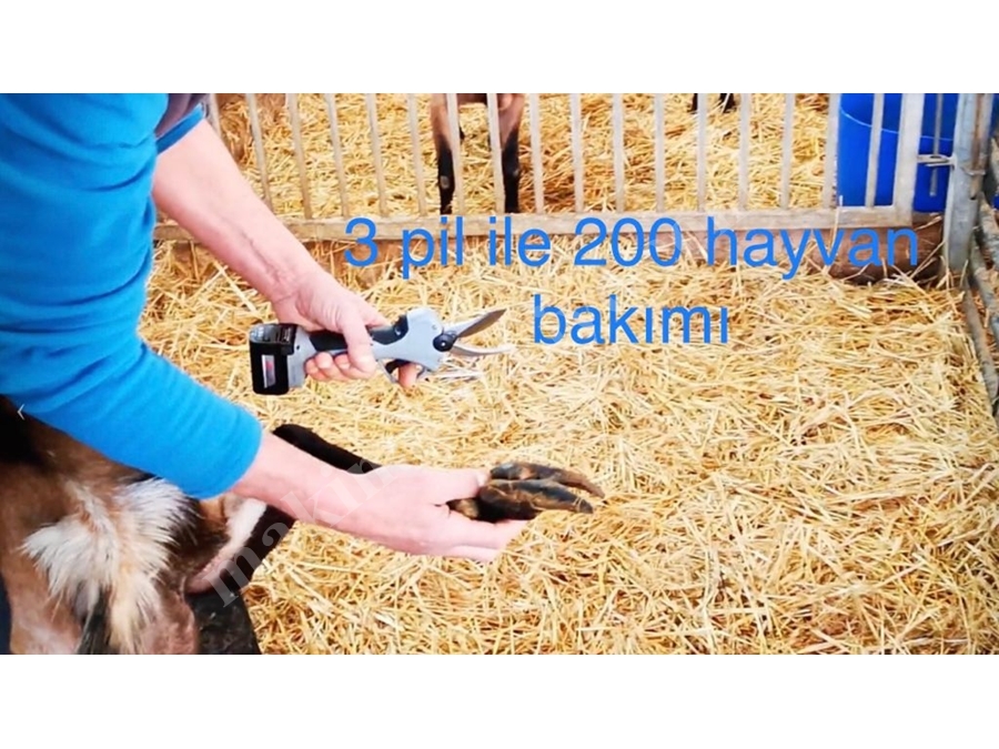 CBN Toynak Bakım Makası 