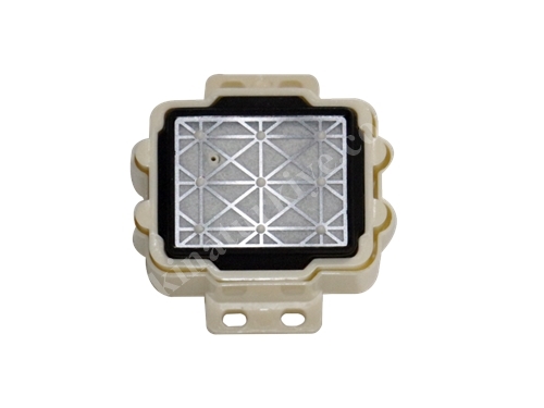 Wit- Color DX5 Cap