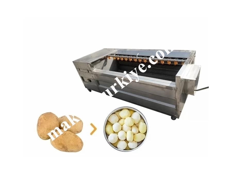 200 Kg/Saat Patates Yıkama Ve Soyma Makinası