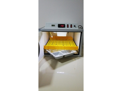 70's Fully Automatic Hobby Incubator Machine - 2