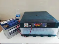 60'Lı Tam Otomatik Hobby Kuluçka Makinası