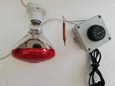 Isı Ayarlamalı Gaz Termostat Isıtıcı Seti - 1