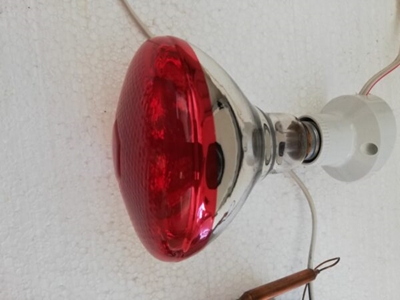 Isı Ayarlamalı Gaz Termostat Isıtıcı Seti - 2