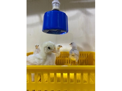 100 W Fanlı Isıtıcı - 2