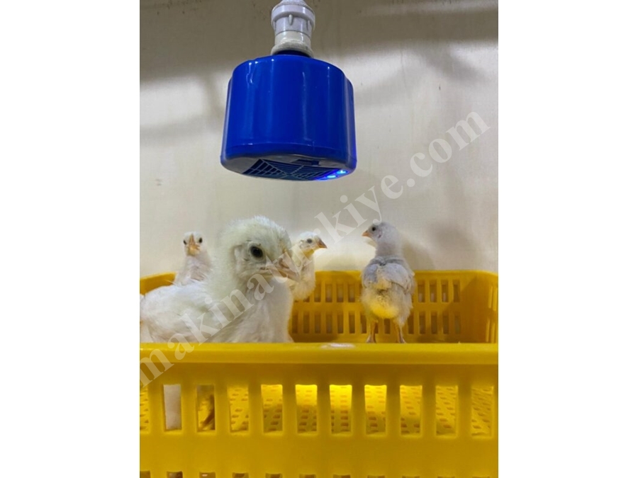 100 W Fanlı Isıtıcı