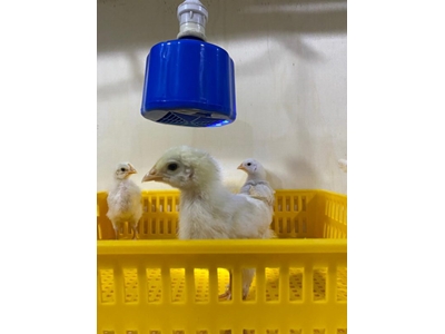 100 W Fanlı Isıtıcı - 0