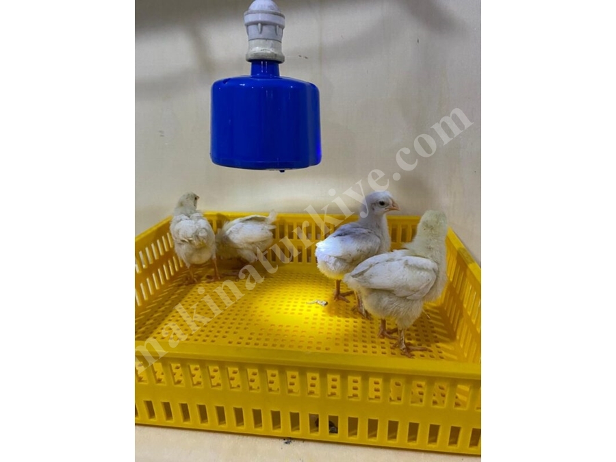 100 W Fanlı Isıtıcı