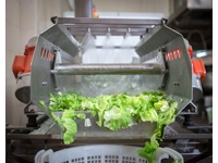 Gemüsewaschmaschine mit Vibrationsförderer - 10