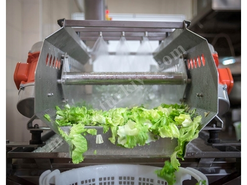 Vegetable Washing Machine with Vibration Conveyor