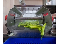 Gemüsewaschmaschine mit Vibrationsförderer - 1