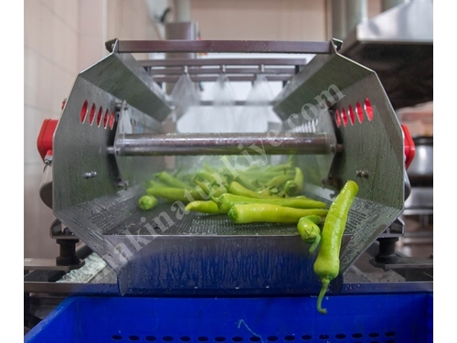 Gemüsewaschmaschine mit Vibrationsförderer
