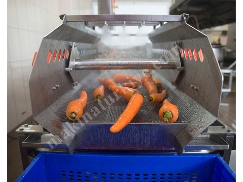Gemüsewaschmaschine mit Vibrationsförderer