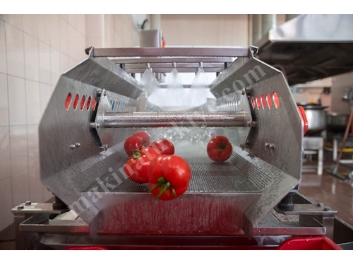 Vibrasyon Konveyörlü Sebze Yıkama Makinası