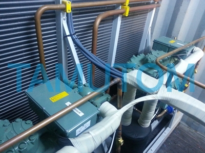 10 Ton / Day Mobile Block Ice Machine - 1