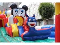 Custom Sized Inflatable Play Park - 2