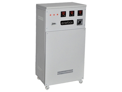20 Kva (Tek Fazlı) Servo Voltaj Regülatör  - 1