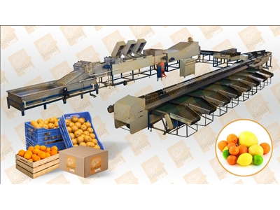 20 Ton/Saat Meyve İşleme Hattı (Yıkama-Mumlama-Boylama)