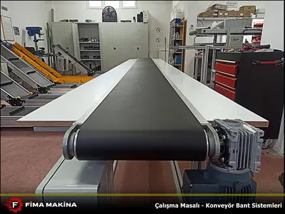 Conveyor Belt Systems Suitable for Cargo Manufacturing Production Areas