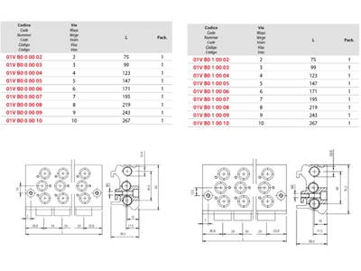 Serie 01V Çoklu Dayalamalı Pleyt Valf  - 1